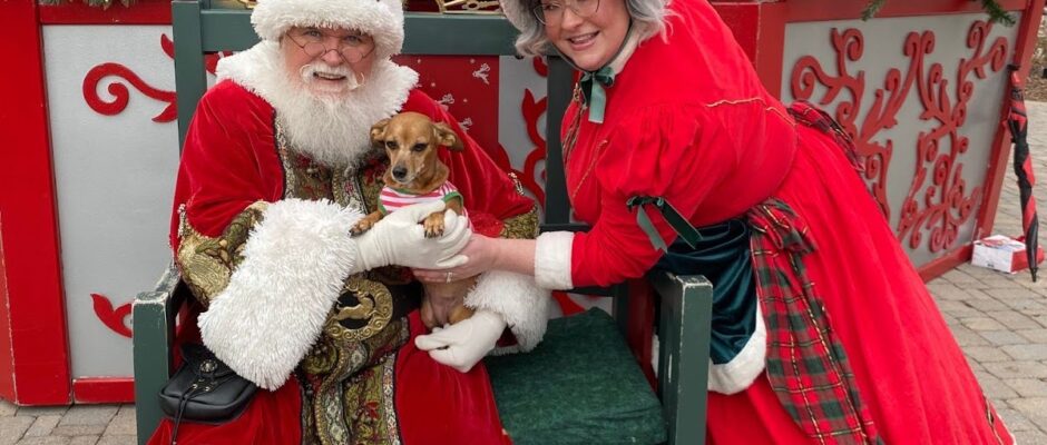 Pet Photos with Santa Huntsville Alabama