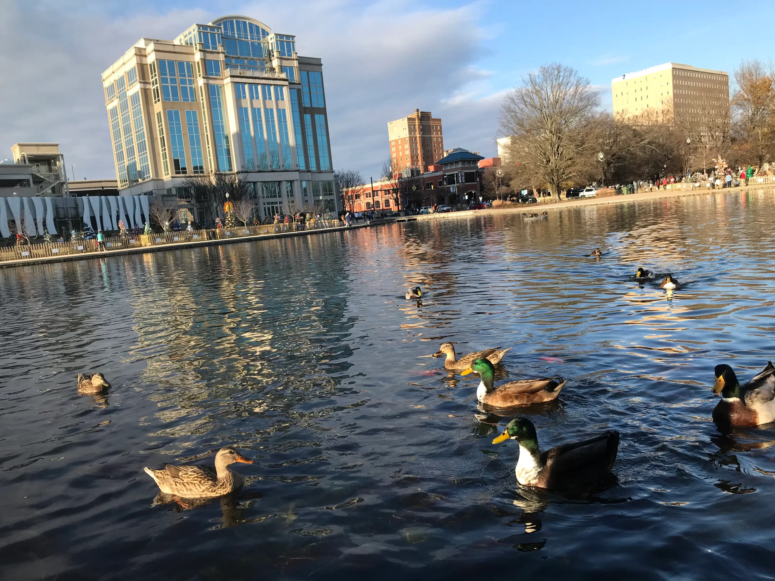 Historical Water Source with Ducks at Big Spring Park