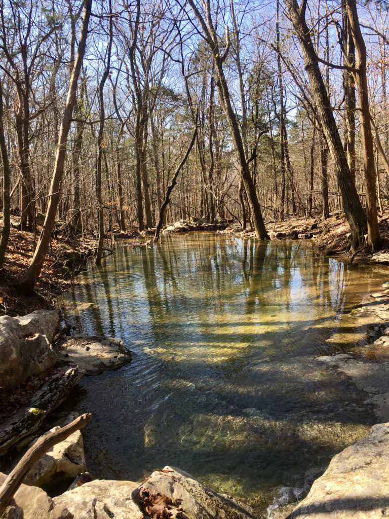 Blevins Gap Nature Preserve