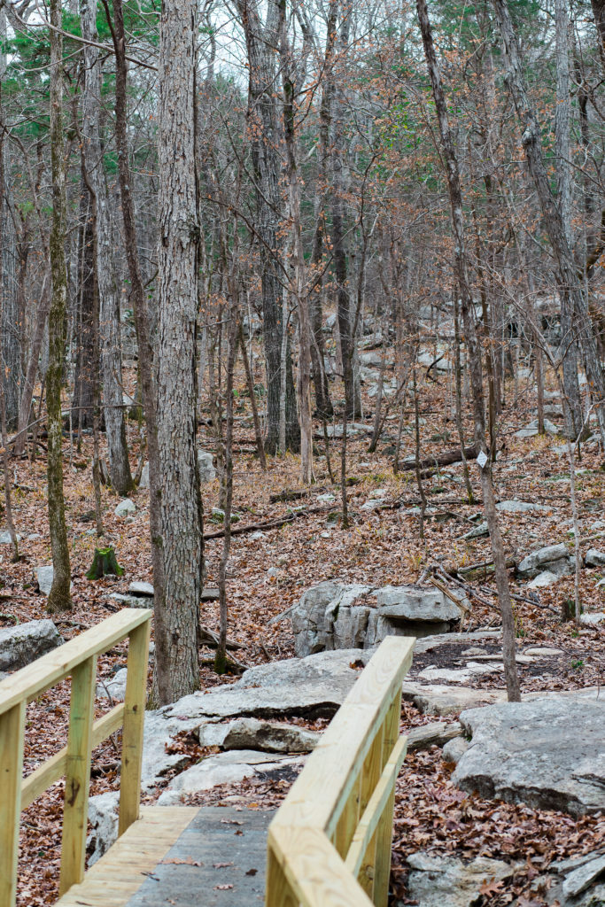 Blevins Gap Nature Preserve