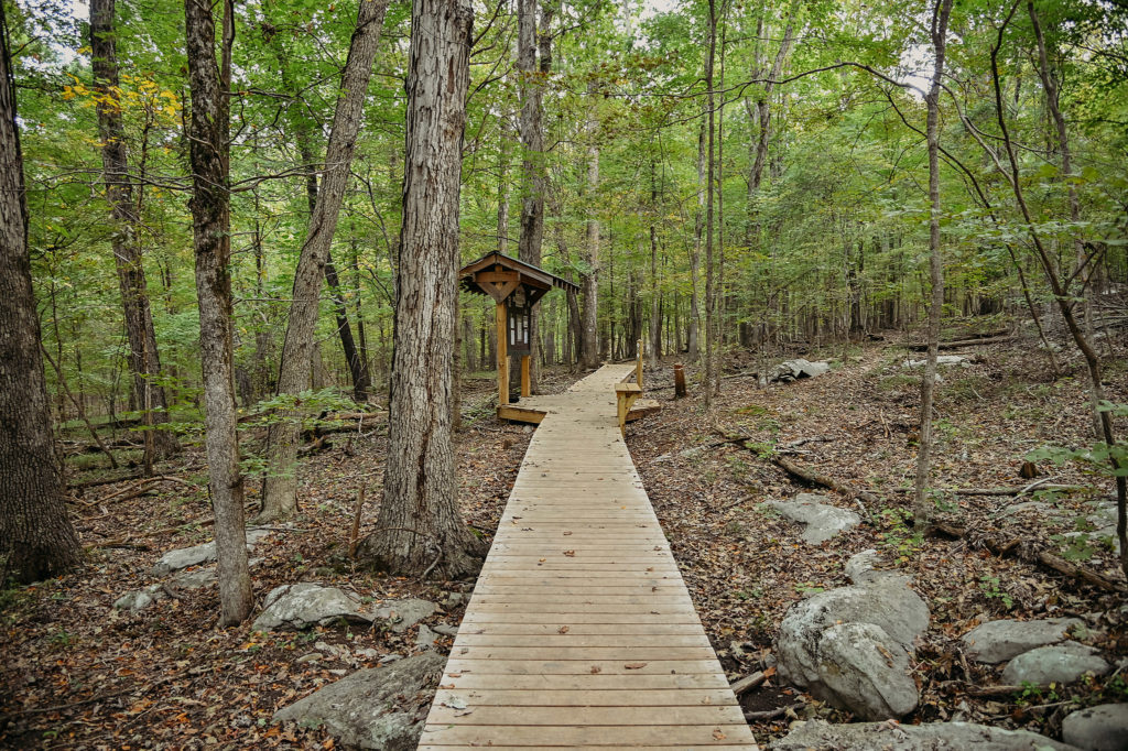 Blevins Gap Nature Preserve