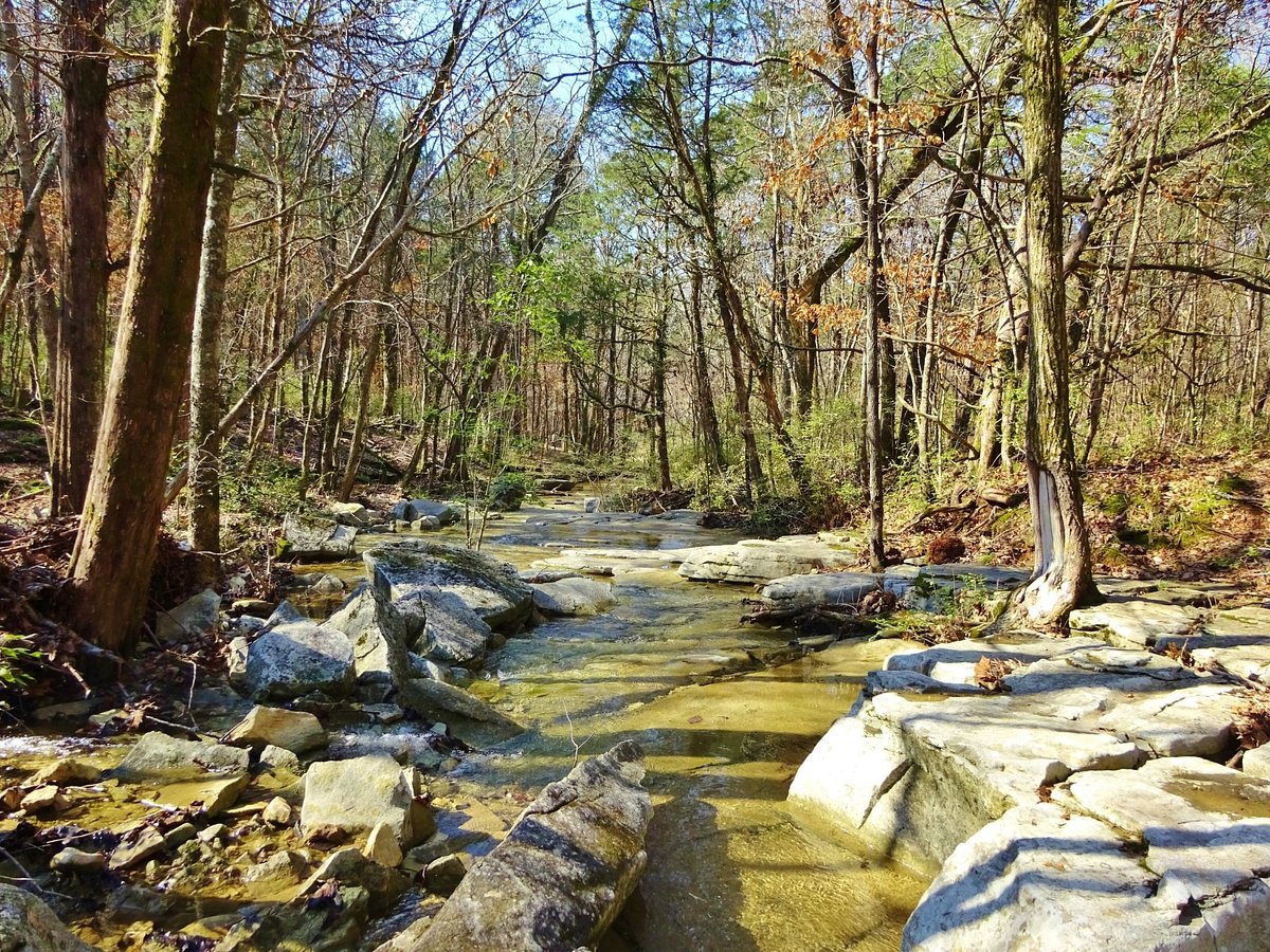 Land Trust of North Alabama