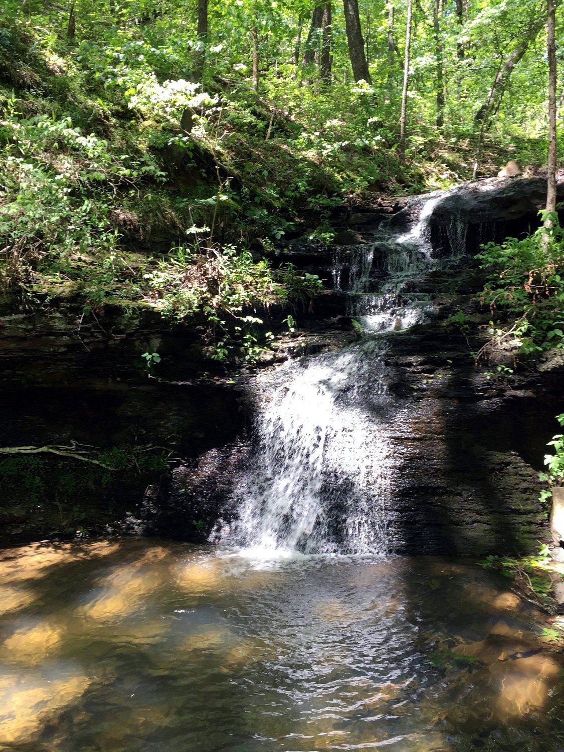 Land Trust of North Alabama