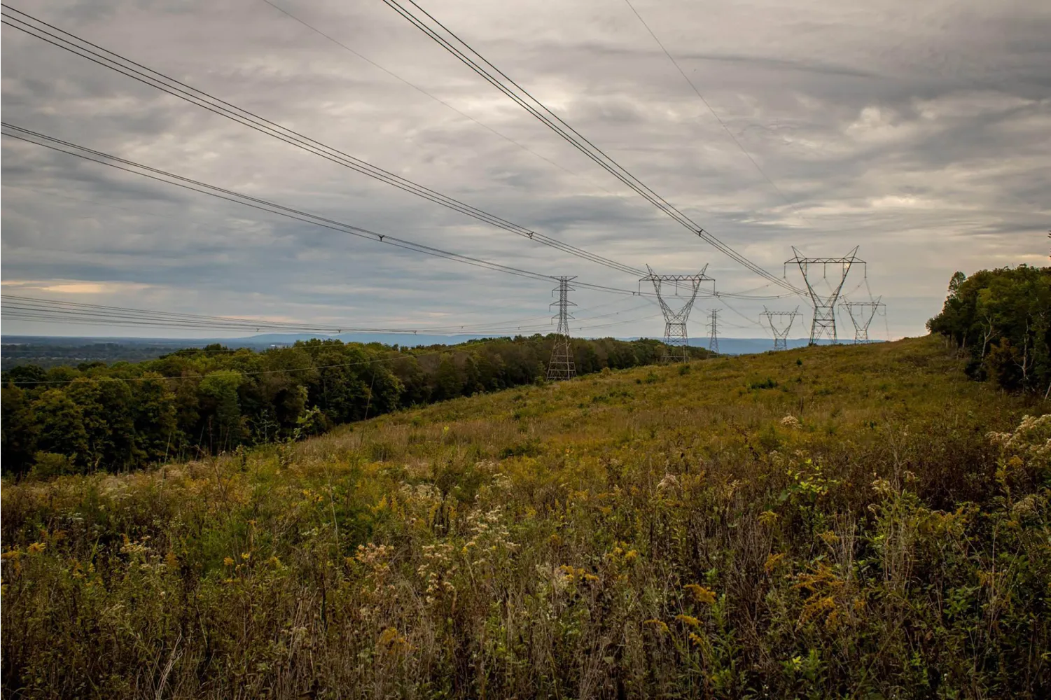 Wade Mountain Nature Preserve