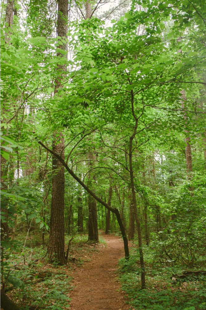 Wade Mountain Nature Preserve