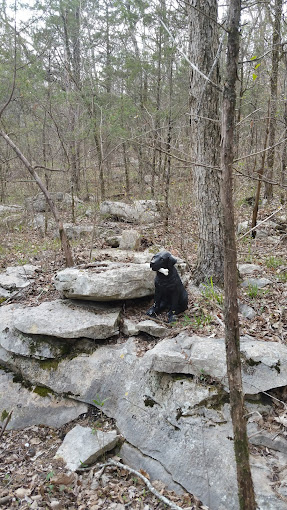 Wade Mountain Nature Preserve