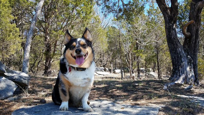 Wade Mountain Nature Preserve