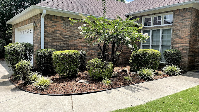 3D Landscaping