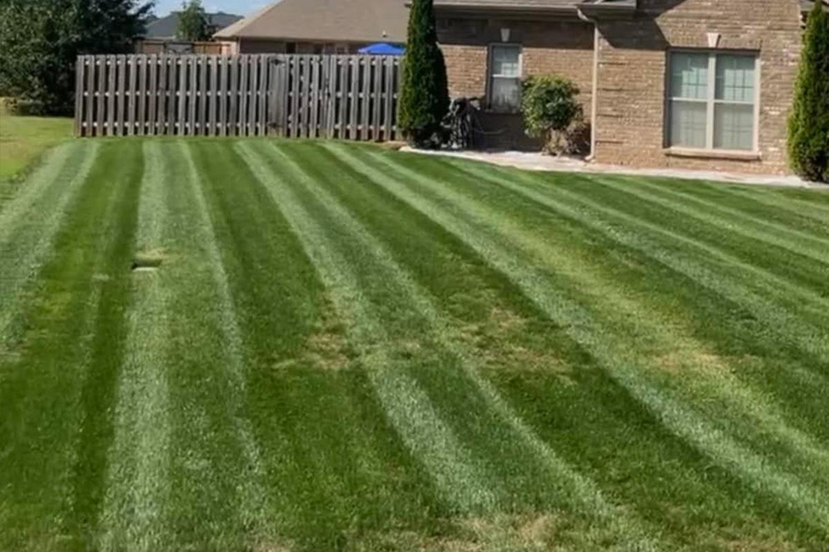 Alabama Lawn Solutions LLC