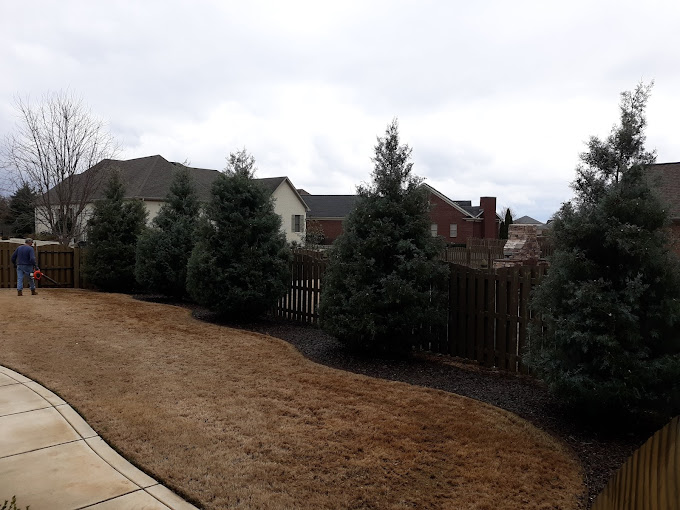 DNT Tree and Landscaping LLC