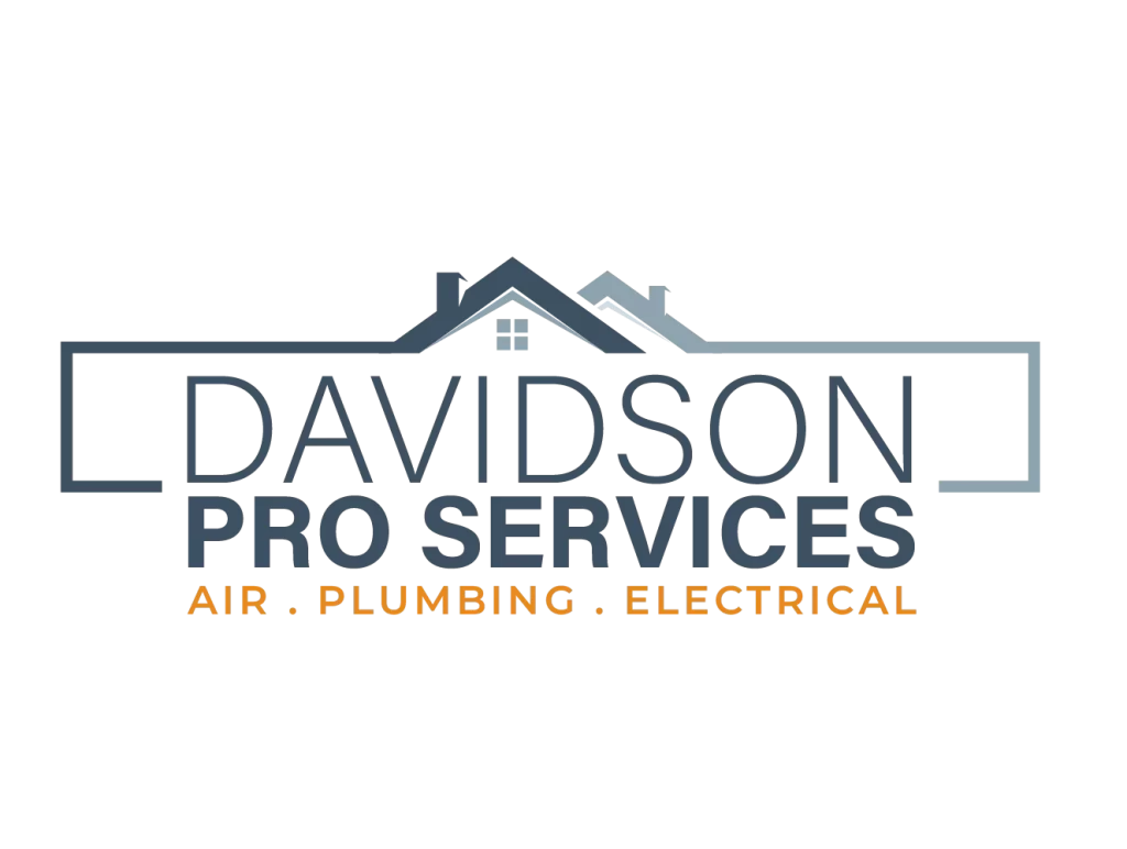 Davidson Pro Services