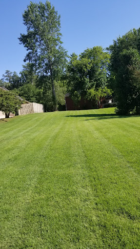 Evergreen Lawn Care