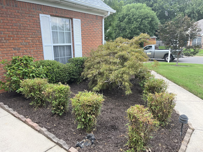 Lawn Cosmetics LLC - Lawn & Landscaping