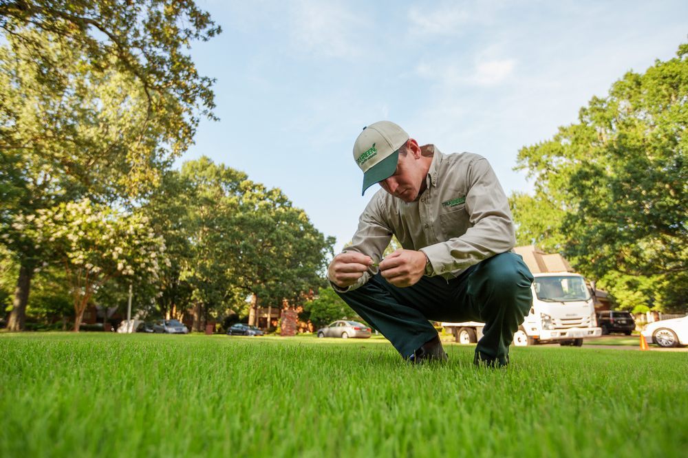 TruGreen Lawn Care