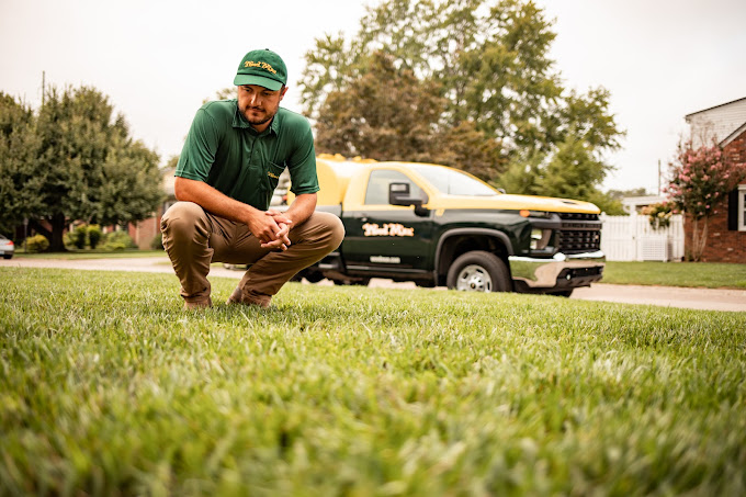 Weed Man Lawn Care