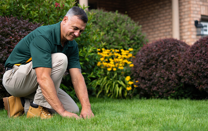 Weed Man Lawn Care