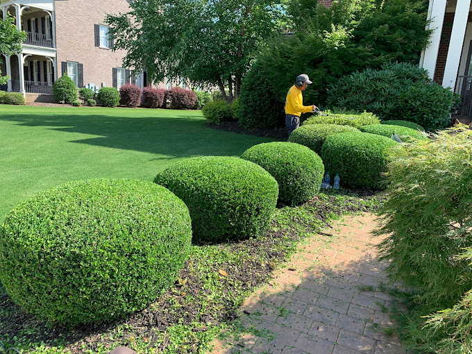 Yellow Jacket Landscaping, LLC