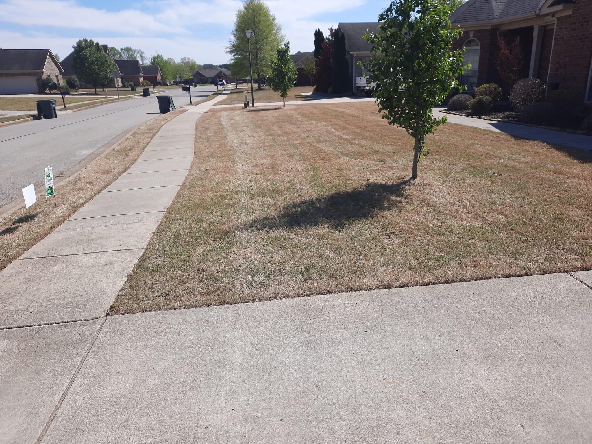 Your Lawn Lawncare & Services