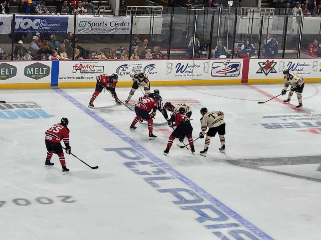 Minor League Hockey Game