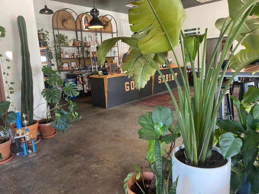 Gold Sprint Coffee Huntsville Alabama