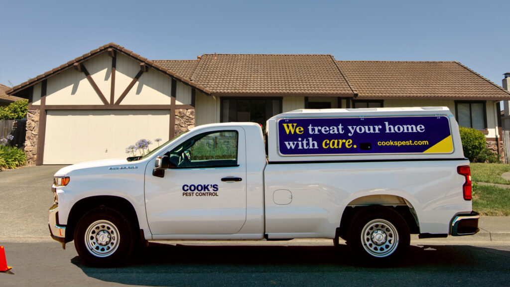 Cook's Pest Control