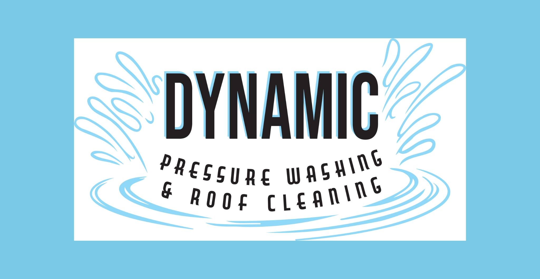 Dynamic Pressure Washing and Roof Cleaning LLC