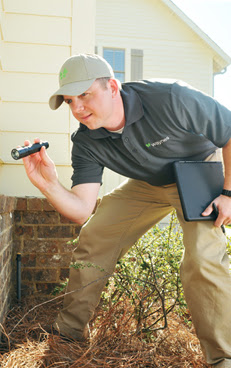 Waynes Pest Control (2)