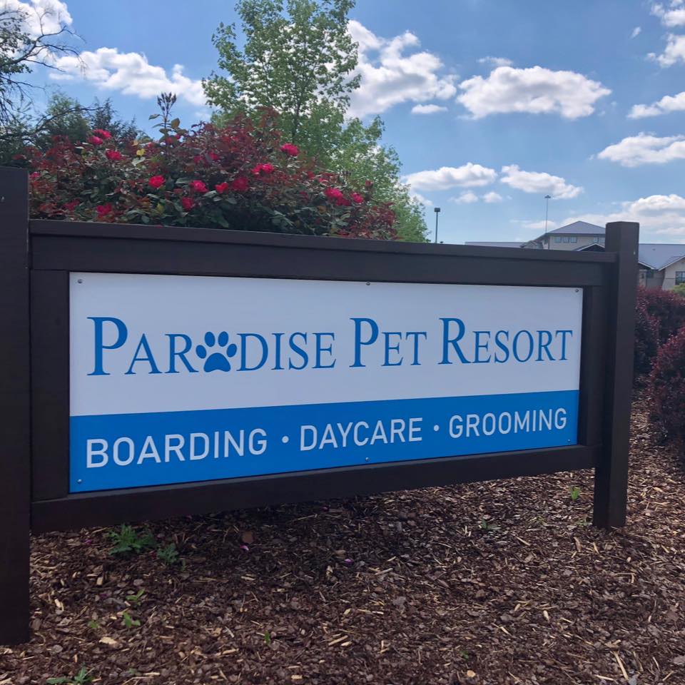 Paradise Pet Resort & Spa