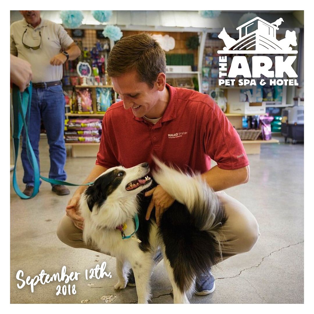 The Ark Pet Spa & Hotel – Huntsville (10)