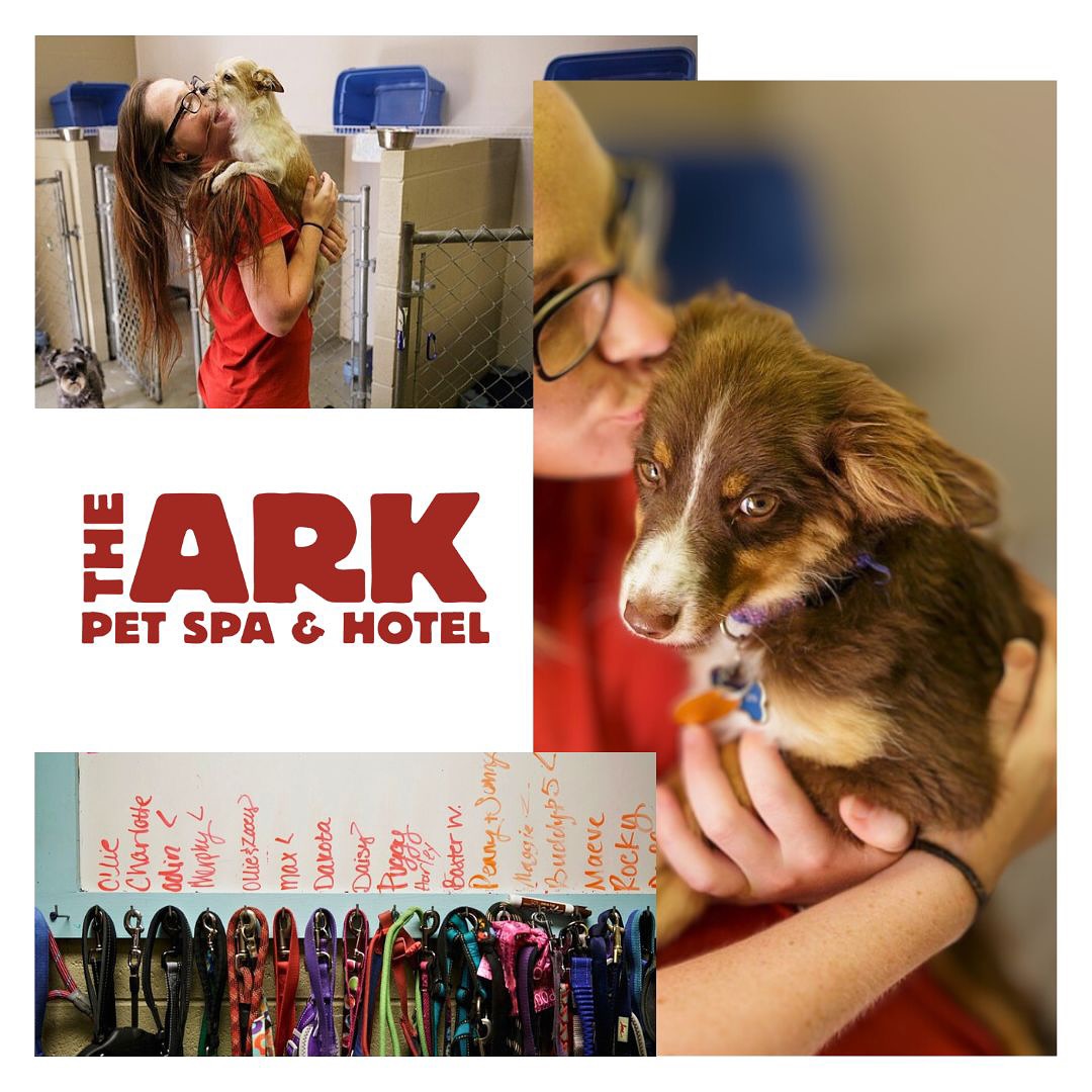 The Ark Pet Spa & Hotel – Huntsville (8)