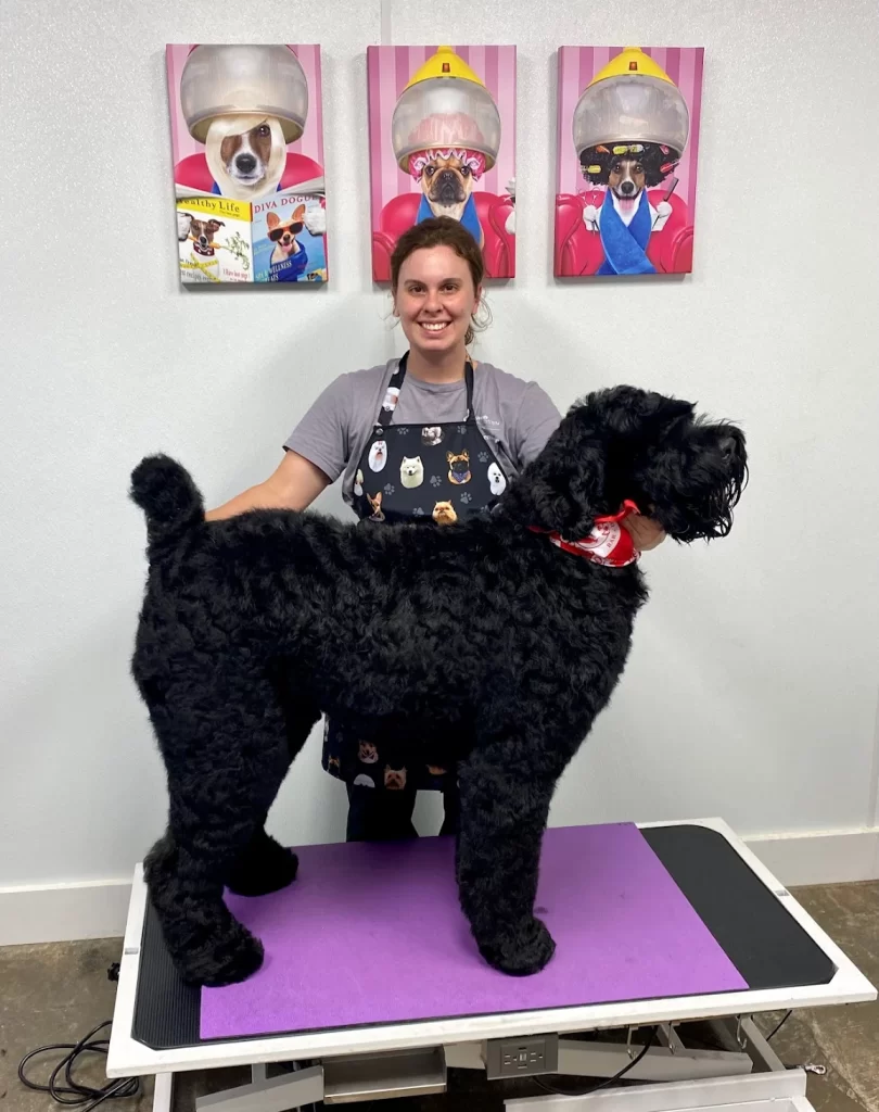 The Pawms Pet Resort – Huntsville (12)