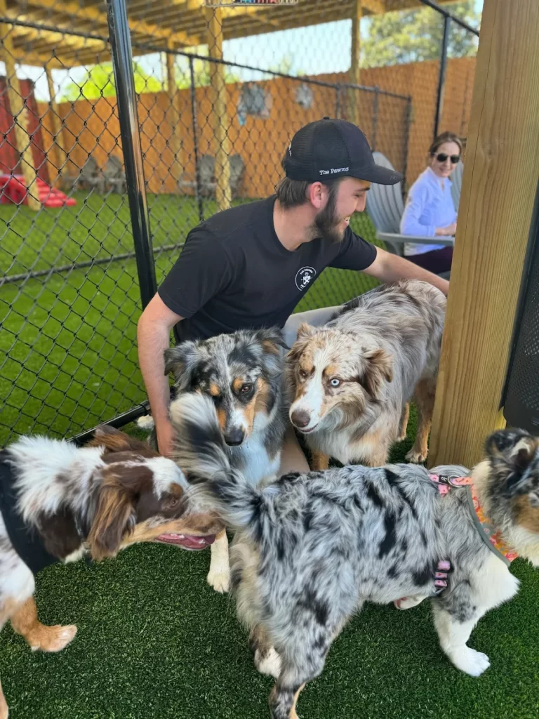 The Pawms Pet Resort – Huntsville (6)