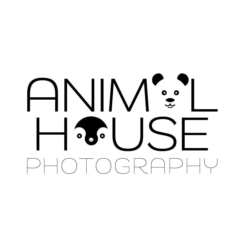 Animal House Photography