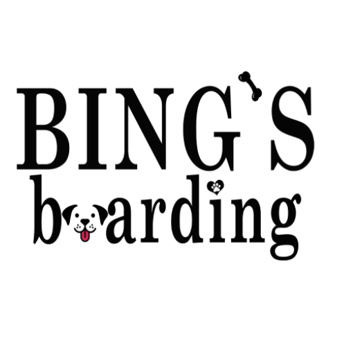 Bing’s Boarding