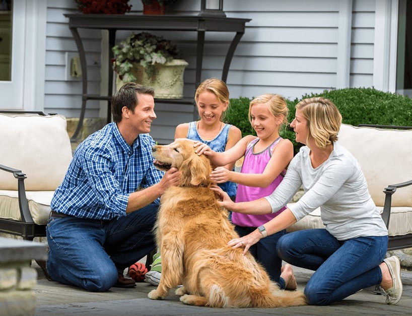 Pet-Stop-Pet-Fence-Systems-of-Alabama-4