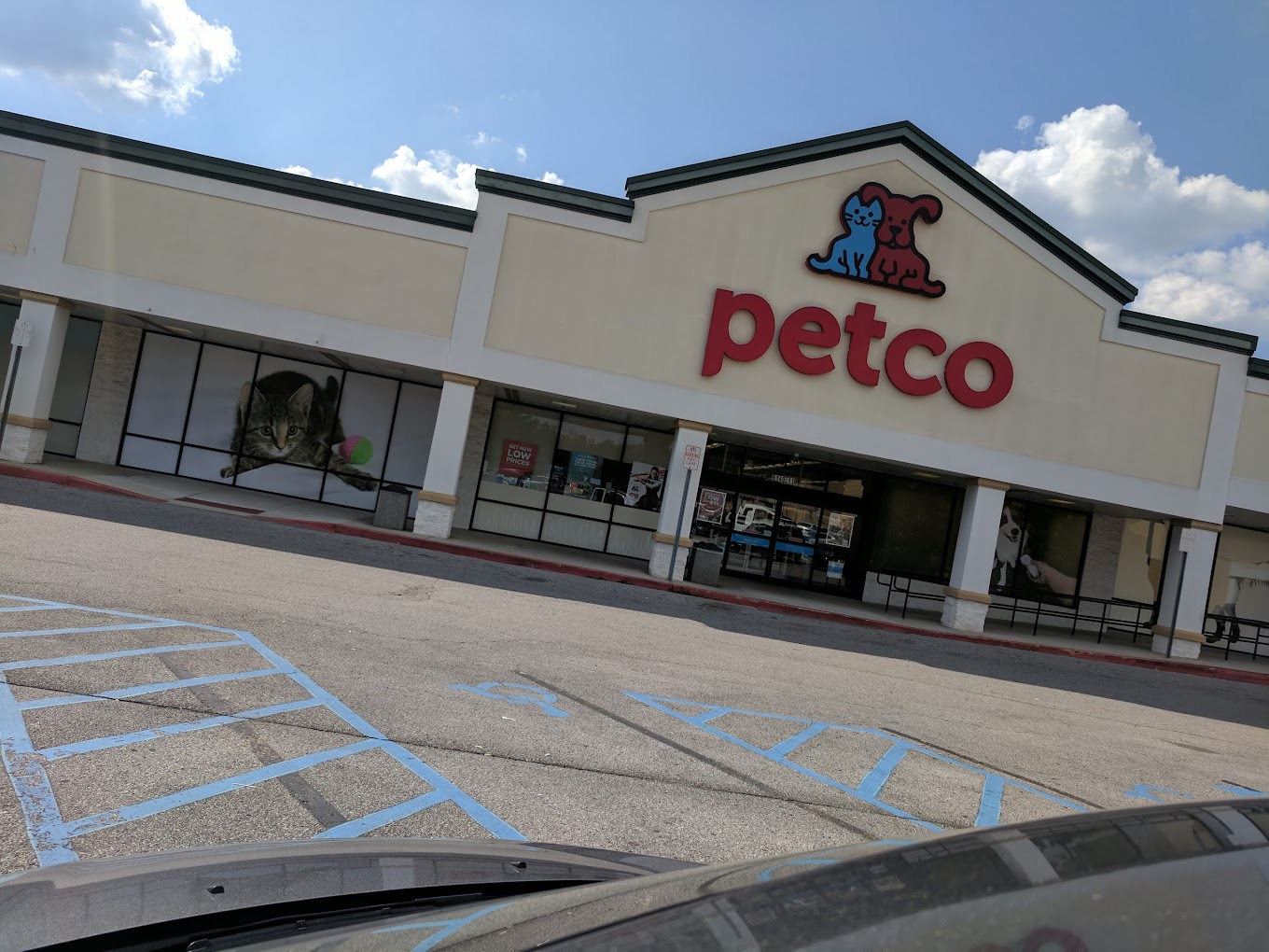 Petco-4