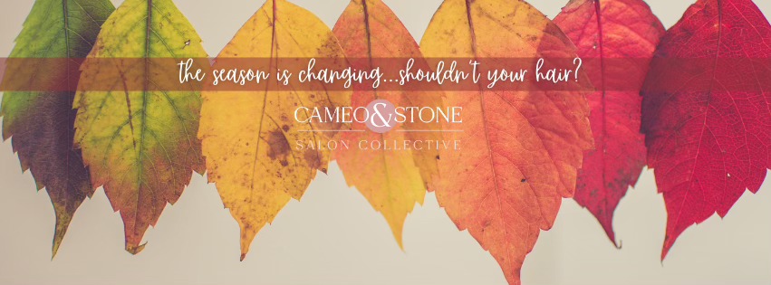 cameo-stone-salon-collective-2