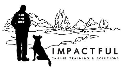 Impactful Canine Training & Solutions