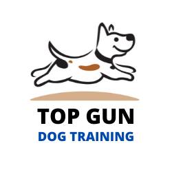 Top Gun Dog Training