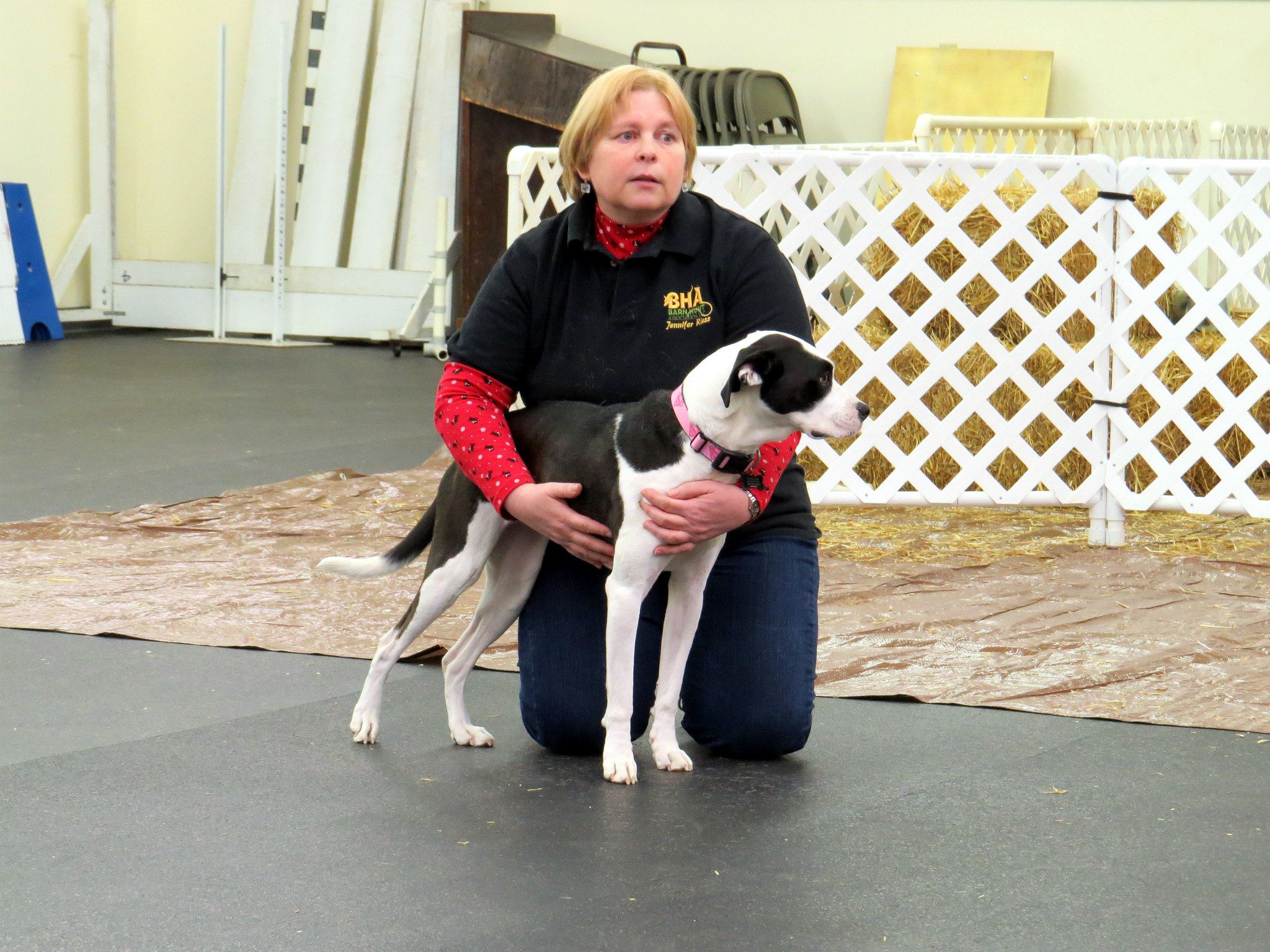 huntsville-obedience-training-club-3