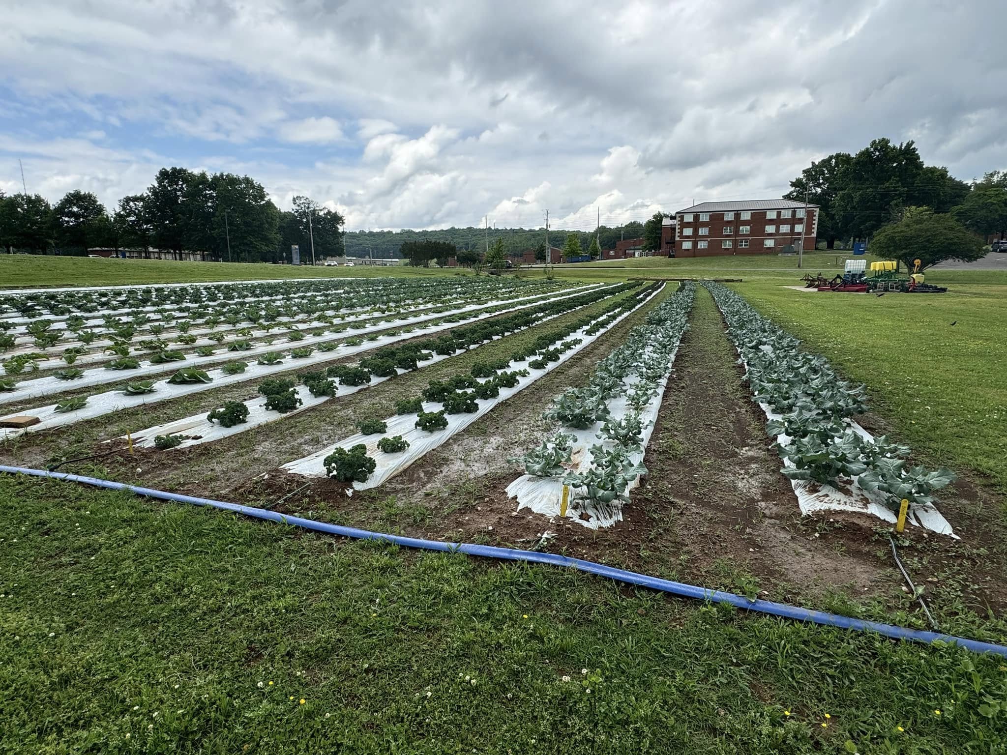 oakwood-farms-market-2