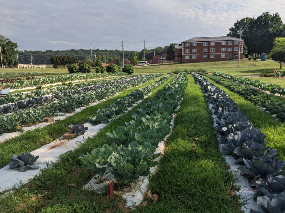 oakwood-farms-market-6