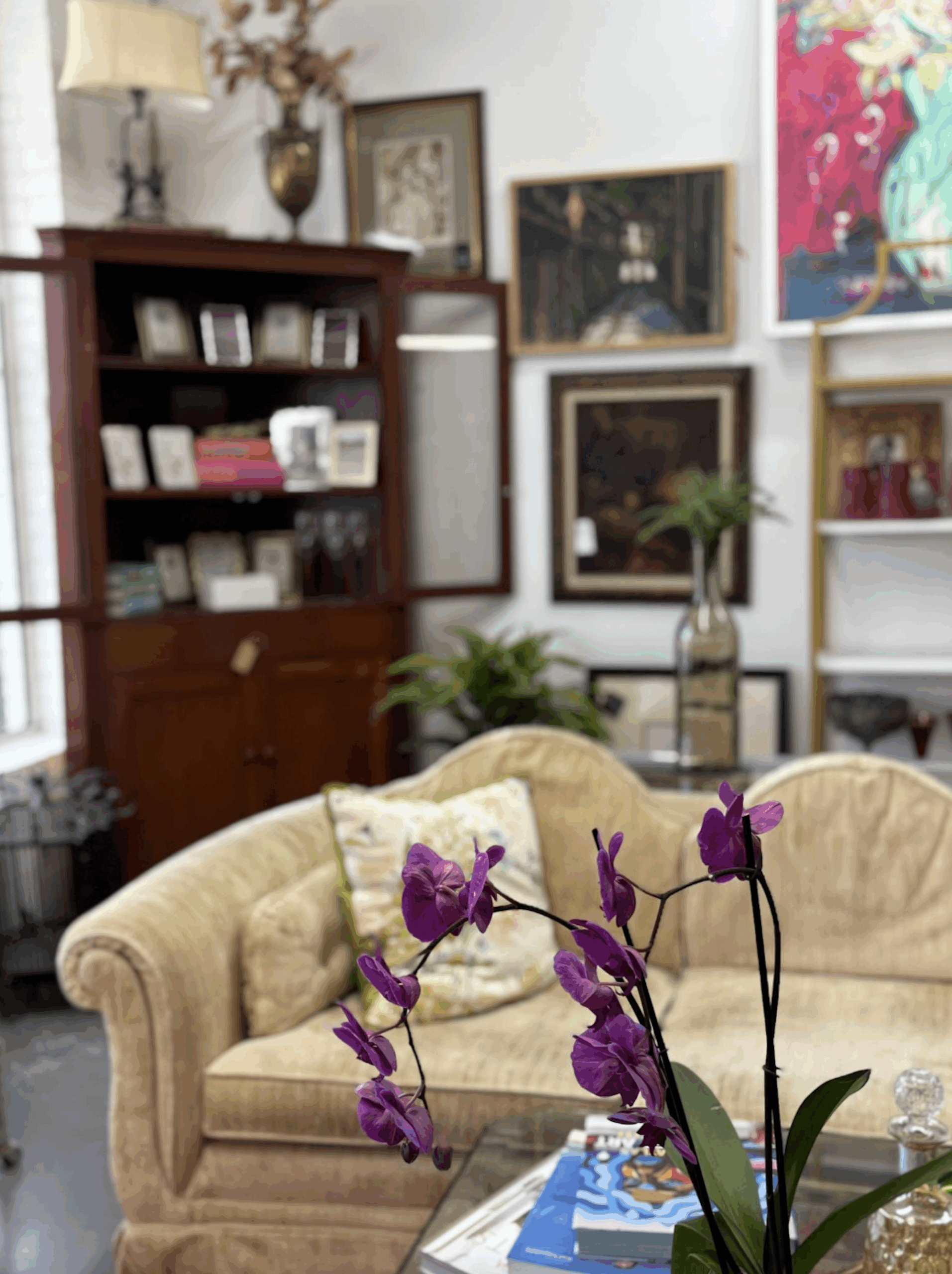 The Vault Antique Store set to open next month