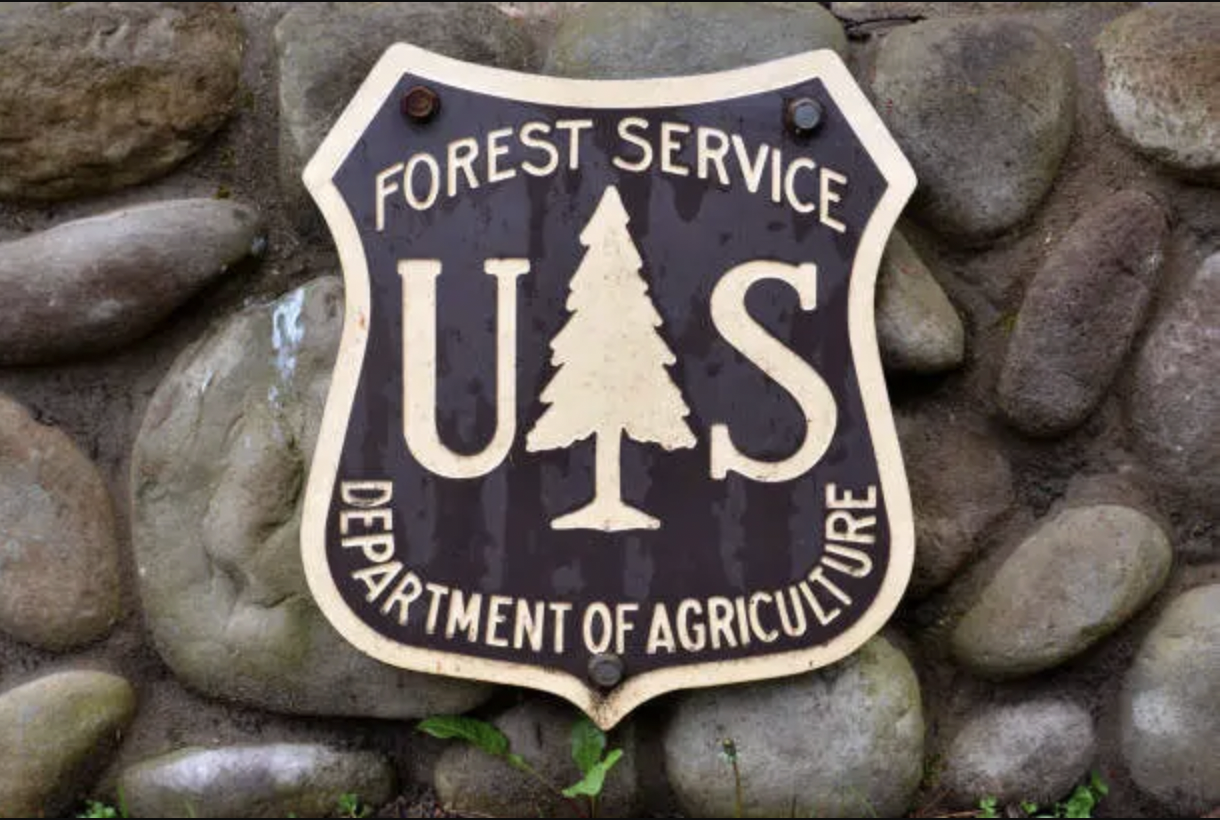 Forest Service