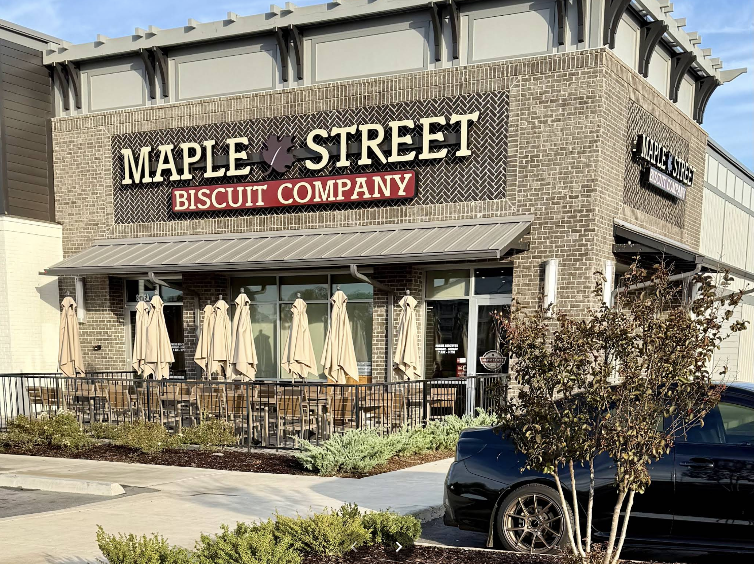 Maple